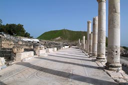 Beit-Shean Roman ruins, Mosaic, Palladium street.
