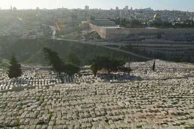 Dome of the Rock, Jerusalem, viewed from Mount of Olives, Jewish cementry.