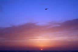 Tel-Aviv beach-sunset-helicopter.