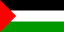 Flag Palestine