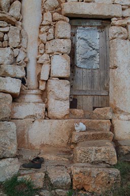 Lost cities, being lived in, Syria.