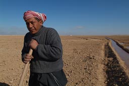Mohamed digs the irrigation channels and ditches and walls in the Syrian desert.