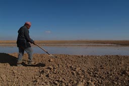 Syria, irrigation.