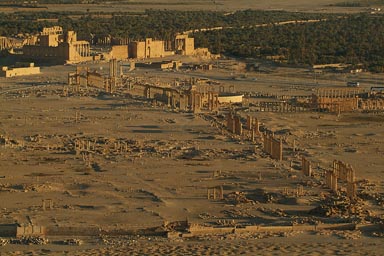 Palmyra Palmyra
