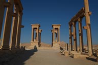 Morning shot, end of decumanus is the tetrapylon. Palmyra.