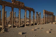 Morning decumanus, Palmyra.