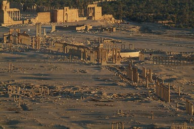 Palmyra, in yellow sunset colours.