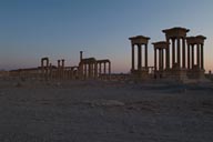 Palmyra, dusk.