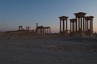 Palmyra, dusk. Palmyra, dusk.
