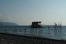 Cormorants, on fisher stands, Marmara coast.