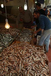 Plenty of fish in Samsun, Turkey.