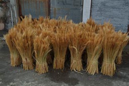 Straw in bushels, trabzon, Turkey