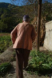 Camlikaya, old man on stick. Coruh, Black sea coast region Turkey.