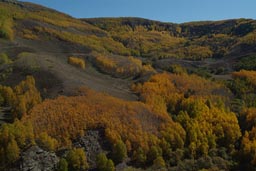 Anatolian autumn.