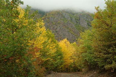 Yellow trees, cliffs, clouds hanging low, Yeni Rabat trail, Turkey.