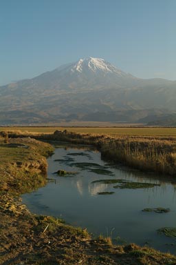 Mount Ararat, morning.