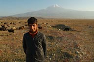 Shepherd, Mount Ararat, sheep.