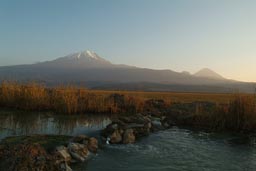 Marshes of Ararat, the plains in front, a little stream, reed.