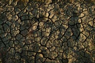 Cracked, dried earth, eastern Turkey, Ararat.