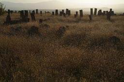 Seljuk tumbstones Ahlat, Lake Van, Turkey.