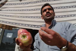 Turkish/Kurdish generosity.