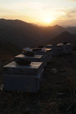 Honey produced in Turkey, Kurdish region. Sunset. Mountains.