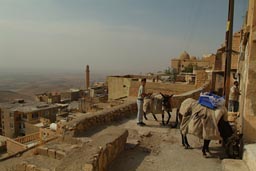 Horses and traders, Mardin hill top.
