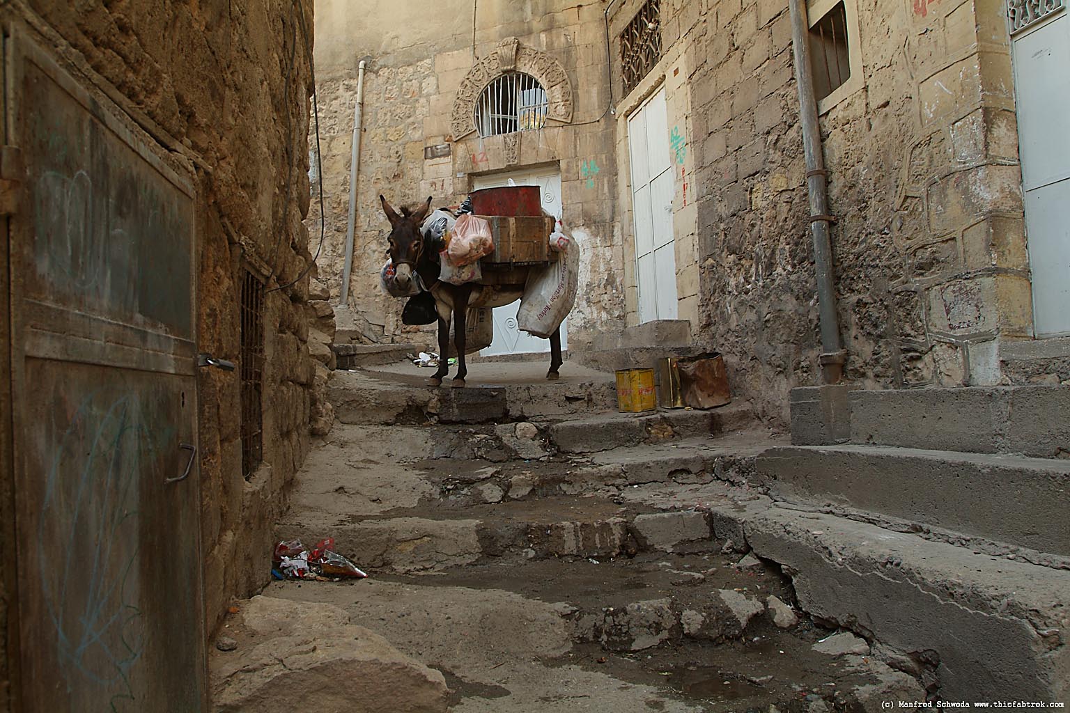 mardin-donkey-turkey-alley-steps-4.jpg