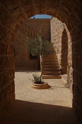 Olive tree and archeway, Mor Gabriel Turkey.