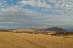 Fields, Anatolia, near Malatya, Turkey.