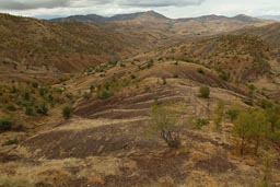 Road central Anatolia, to Bigol. Autumn valley.