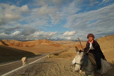 Shepherd on donkey, central Anatolia near Mantalya, Turkey, a dog on road, blue sky some clouds. Anatolian landscape.