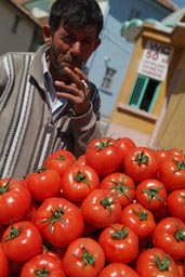 Tomatoes vendor cigarette smoking, Konya.