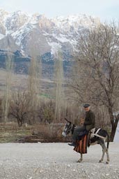 Donkey man, snowy Ala Daglar, Turkey.