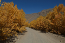 Autumn colours, Nemrut, Turkey.