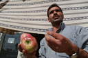 Turkish generosity, friendlyness, apples as a gift.