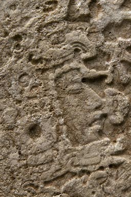 Maya king or god, engraved in stone, stelae or altar, Caracol, Belize..
