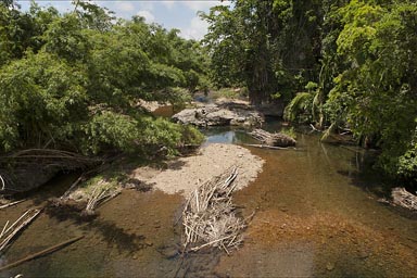 River through jungle, Belize.