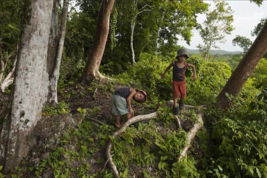 On top of a jungle overgrown temple. El Pilar, Belize.