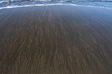 Traces of snails and running sea water on sandy beach, Costa Rica.