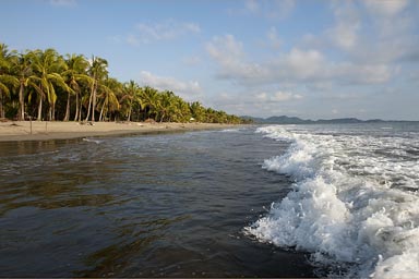 Grand lonley palm beaches Costa Rica.
