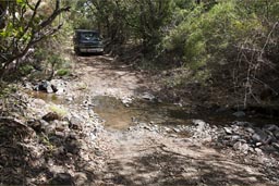 Santa Elena nature reserve in Costa Rica's north-east.