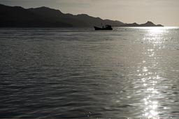 From Playa Blanca, against late sun, silver glittering Pacific, Costa Rica.