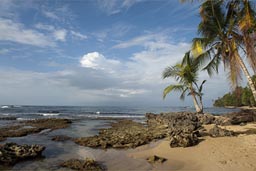 Caribbean Coast Manzanilla. Costa Rica.