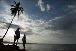 Manzanillo point. Cloudy Caribbean sky and palm, Costa Rica.