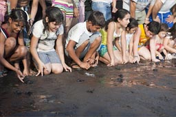 Children let 15 day old turtles from hatchery go free and run in the ocean, El Zonte, El Salvador.