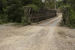 Jungle bridge.