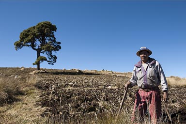 Hugo is Mam, Guatemala.