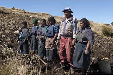 Mam family posing for picture, potato farming in the Western Highlands Guatemala.