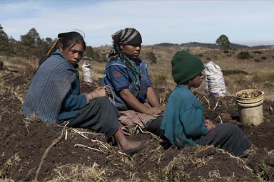 Mam children, Western Highlands Guatemala.